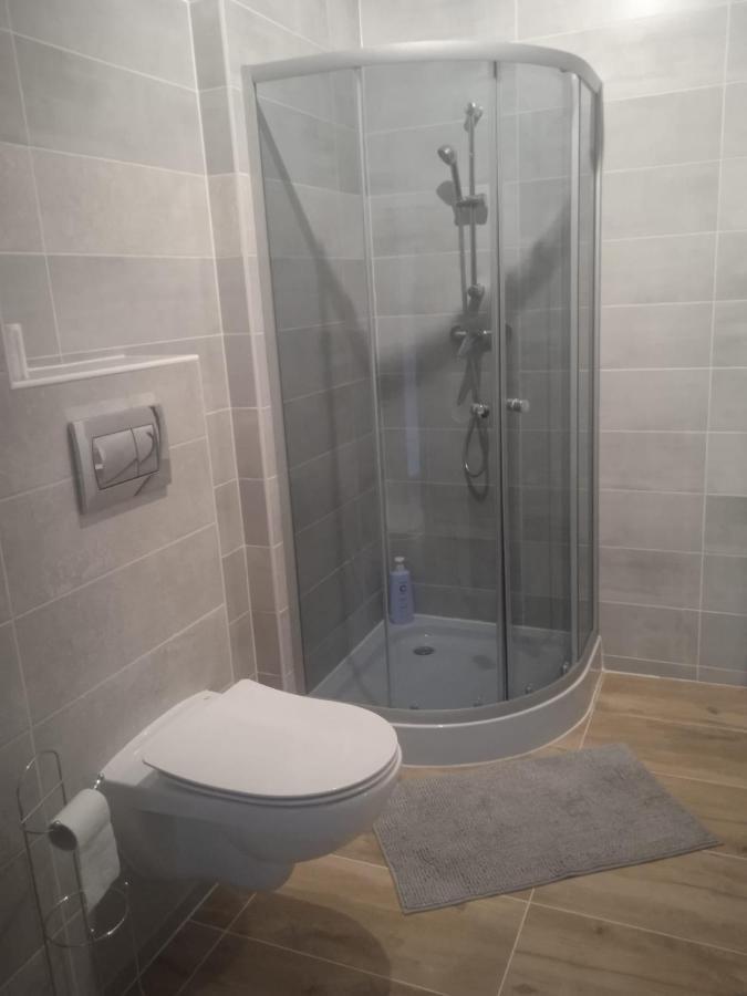 ילנייה גורה Przytulny Apartament W Sercu Karkonoszy מראה חיצוני תמונה
