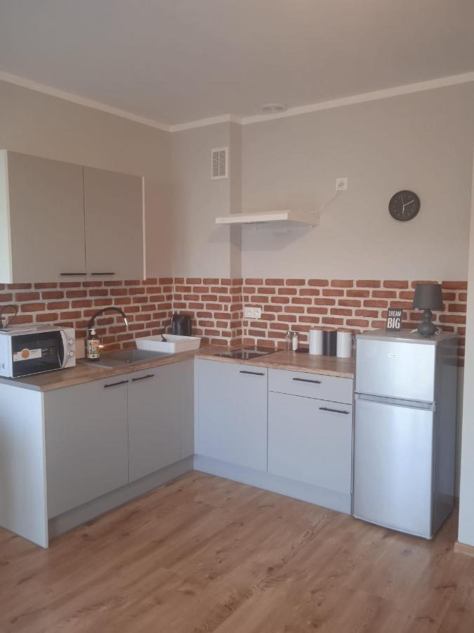 ילנייה גורה Przytulny Apartament W Sercu Karkonoszy מראה חיצוני תמונה